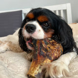 JR Ostrich Knuckle Bone - Underdog Pets