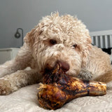 JR Ostrich Knuckle Bone - Underdog Pets
