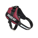 Julius-K9 IDC® Powerharness - Underdog Pets