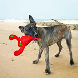 KONG Belly Flops Lobster - Underdog Pets