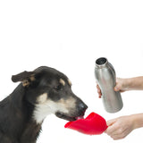 KONG H20 Stainless Steel Bottle for Dogs 740ml - Underdog Pets