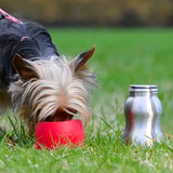 KONG H20 Stainless Steel Bottle for Dogs 270ml - Underdog Pets