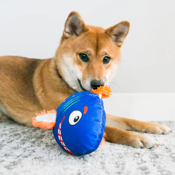 KONG Reefz Dog Toy - Underdog Pets