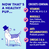 Gut Pup - Prebiotic Banana Bread Dental Chews - Underdog Pets