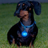 Rogz Roglite Safelight - Underdog Pets