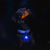 Rogz Roglite Safelight - Underdog Pets