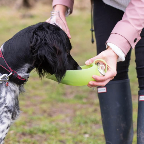 Rosewood Easy Use Dog Travel Water Bottle with Stylish Leaf Design, Green - Underdog Pets