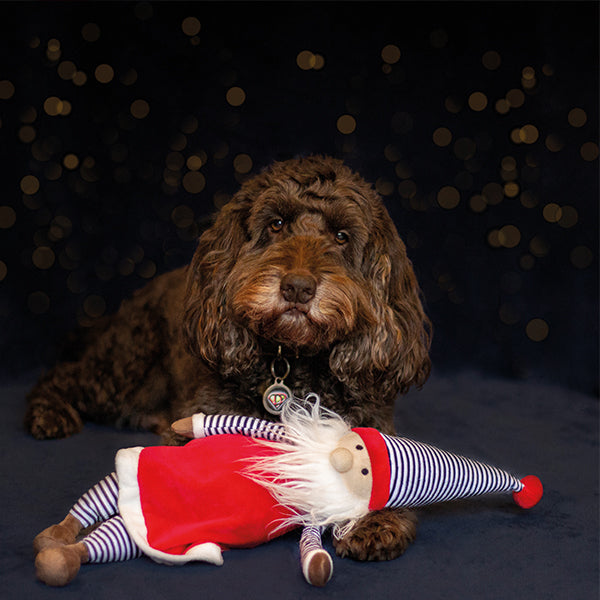 Jolly Santa Dog Toy - Underdog Pets