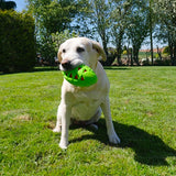 Rosewood Tough Crunch Rugby Ball Toy - Underdog Pets