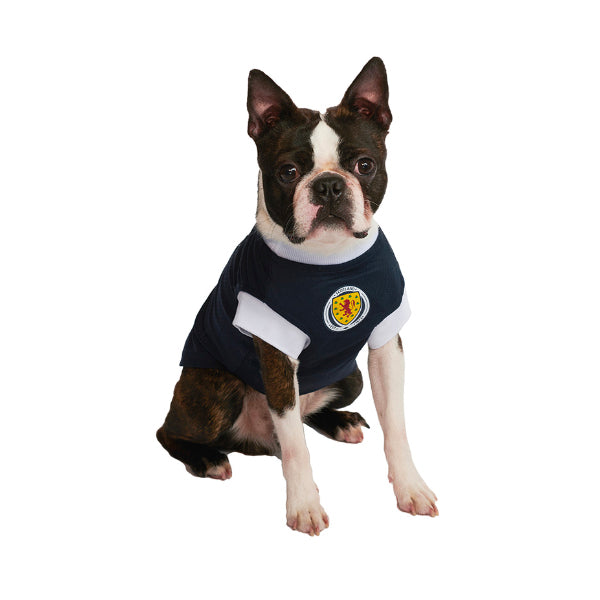 Official Licensed Rangers FC Dog Football Shirts at Urban Pup