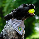 Scout's Honour Fetch Fanatic iron-on patch for dogs - Underdog Pets