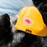 Scout's Honour Fur Baby iron-on patch for dogs - Underdog Pets