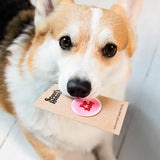 Scout's Honour Fur Baby iron-on patch for dogs - Underdog Pets