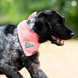 Scout's Honour Zoomies iron-on patch for dogs - Underdog Pets