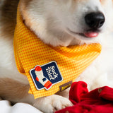 Scout's Honour Sock Thief iron-on patch for dogs - Underdog Pets