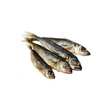 Hollings Sprats - Underdog Pets