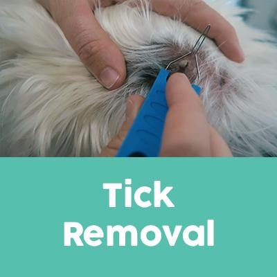 Tick Removal Service - Underdog Pets